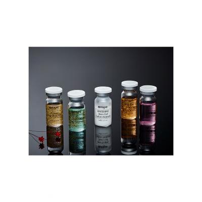 Stayve Booster Starter Kit Dárková kazeta pleťové sérum Whitening Stem Cell Culture Ampoule 3 x 8 ml + pleťové sérum Aqua Stem Cell Culture Ampoule 3 x 8 ml + pleťové sérum EGF Peptide Gold Ampoule 2 x 8 ml + pleťové sérum Salmon DNA 2 x 8 ml + pleťové sérum AC Stem Cell 2 x 8 ml