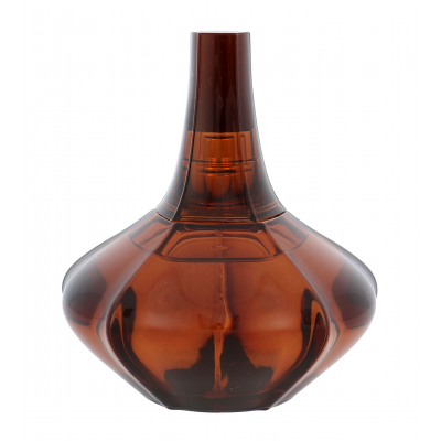 Calvin Klein Secret Obsession Parfémovaná voda pro ženy 100 ml