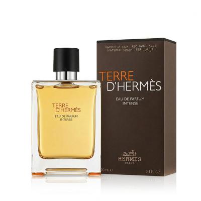 Hermes Terre d´Hermès Intense Parfémovaná voda pro muže Plnitelný 100 ml