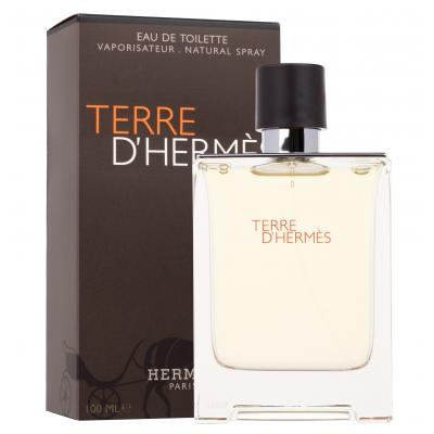 Hermes Terre d´Hermès Toaletní voda pro muže 100 ml poškozená krabička