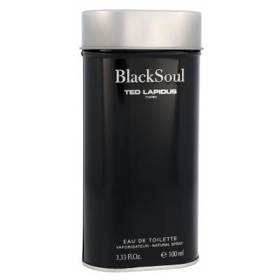Ted Lapidus Black Soul Toaletní voda pro muže 100 ml