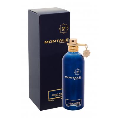 Montale Aoud Ambre Parfémovaná voda 100 ml