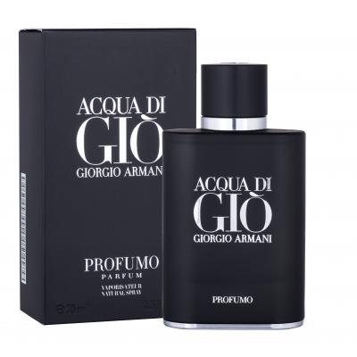 Giorgio Armani Acqua di Giò Profumo Parfémovaná voda pro muže 75 ml