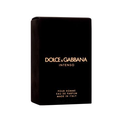 Dolce&amp;Gabbana Pour Homme Intenso Parfémovaná voda pro muže 75 ml