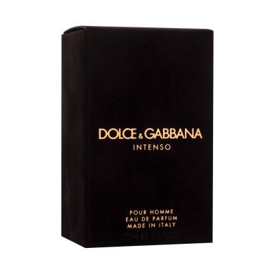 Dolce&amp;Gabbana Pour Homme Intenso Parfémovaná voda pro muže 75 ml