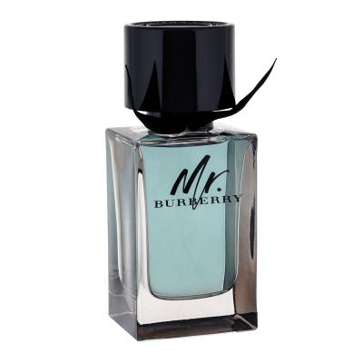 Burberry Mr. Burberry Toaletní voda pro muže 100 ml