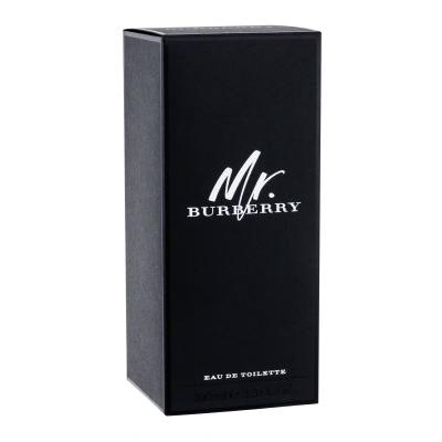 Burberry Mr. Burberry Toaletní voda pro muže 100 ml