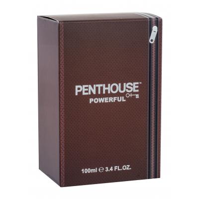 Penthouse Powerful Toaletní voda pro muže 100 ml