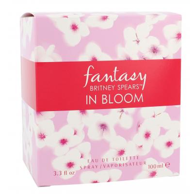 Britney Spears Fantasy in Bloom Toaletní voda pro ženy 100 ml