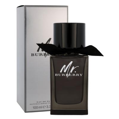 Burberry Mr. Burberry Parfémovaná voda pro muže 100 ml
