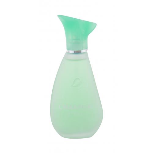 Chanson d'Eau Original toaletní voda pro ženy 100 ml