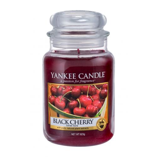 Yankee Candle Black Cherry vonná svíčka 623 g