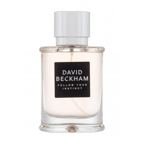 David Beckham Follow Your Instinct toaletní voda pro muže 50 ml