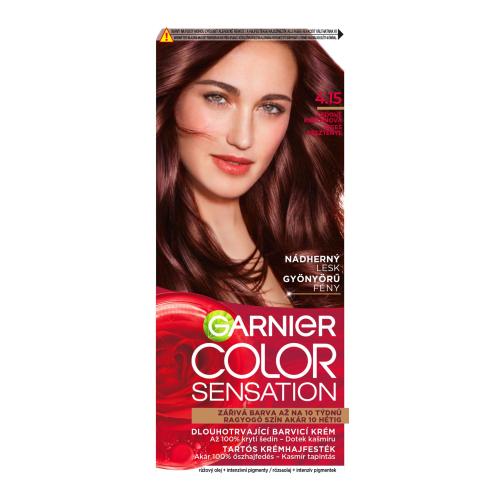 Garnier Color Sensation 40 ml permanentní barva na vlasy pro ženy 4,15 Icy Chestnut
