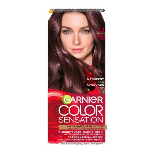 Garnier Color Sensation 40 ml permanentní barva na vlasy pro ženy 2,2 Onyx