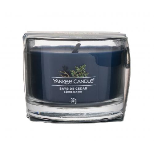 Yankee Candle Bayside Cedar votivní svíčka 37 g