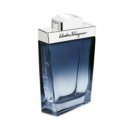 Ferragamo Subtil Pour Homme toaletní voda pro muže 100 ml