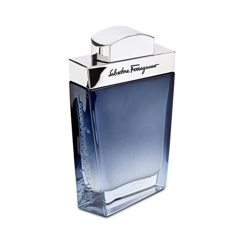 Ferragamo Subtil Pour Homme toaletní voda pro muže 50 ml