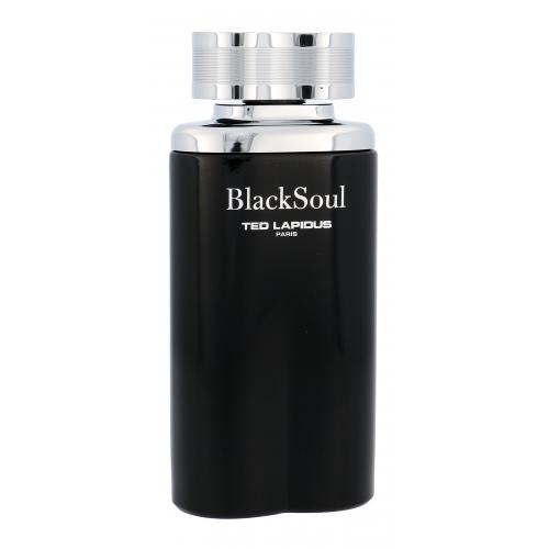 Ted Lapidus Black Soul 100 ml toaletní voda pro muže
