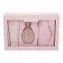 Sarah Jessica Parker Lovely Dárková kazeta pro ženy parfémovaná voda 200 ml + sprchový gel 200 ml + psaníčko