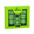 Xpel Tea Tree Dárková kazeta pro ženy šampon 100 ml + kondicionér 100 ml + sérum na vlasy 30 ml
