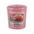 Yankee Candle Sun-Drenched Apricot Rose Vonná svíčka 49 g