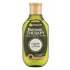 Garnier Botanic Therapy Olive Mythique Šampon pro ženy 250 ml