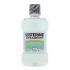 Listerine Mouthwash Spearmint Ústní voda 250 ml