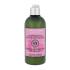 L'Occitane Radiance And Color Care Šampon pro ženy 300 ml