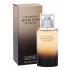 Davidoff Horizon Extreme Parfémovaná voda pro muže 75 ml