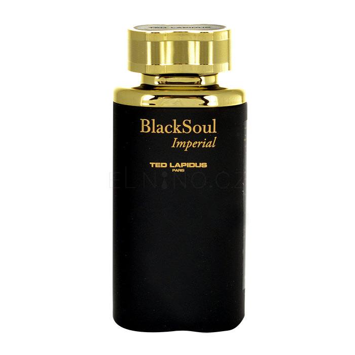 Ted Lapidus Black Soul Imperial Toaletní voda pro muže 100 ml tester