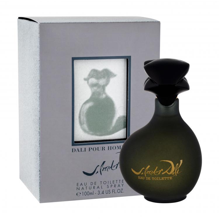 Salvador Dali Pour Homme Toaletní voda pro muže 100 ml