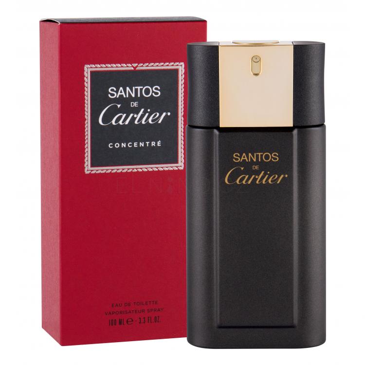 Cartier Santos De Cartier Concentré Toaletní voda pro muže 100 ml