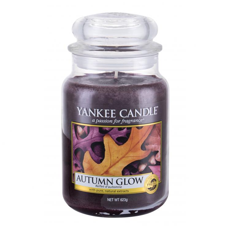 Yankee Candle Autumn Glow Vonná svíčka 623 g
