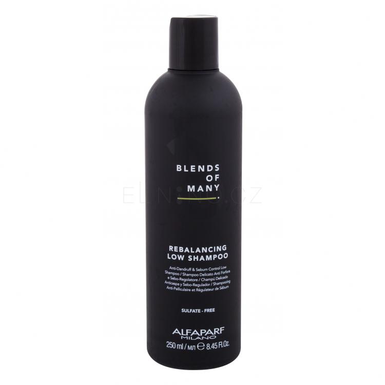 ALFAPARF MILANO Blends Of Many Rebalancing Šampon pro muže 250 ml