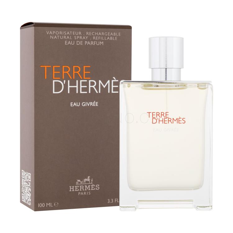 Hermes Terre d´Hermès Eau Givrée Parfémovaná voda pro muže Plnitelný 100 ml