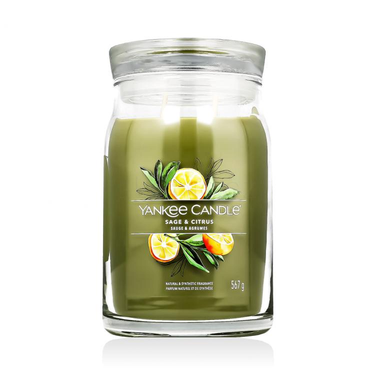 Yankee Candle Signature Sage &amp; Citrus Vonná svíčka 567 g