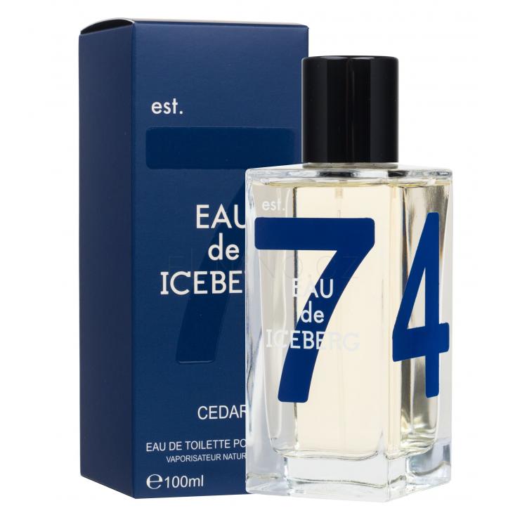 Iceberg Eau de Iceberg Cedar Toaletní voda pro muže 100 ml