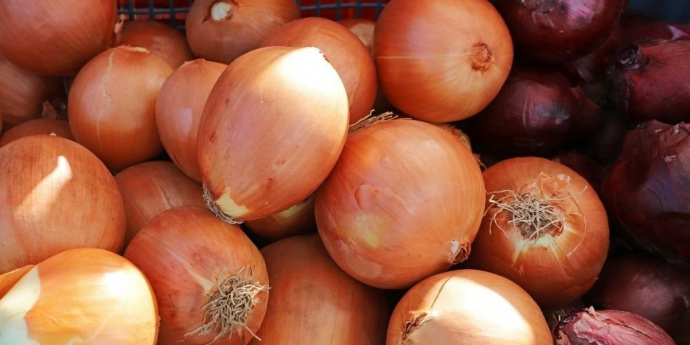 Cibule pro tmavší vlasy